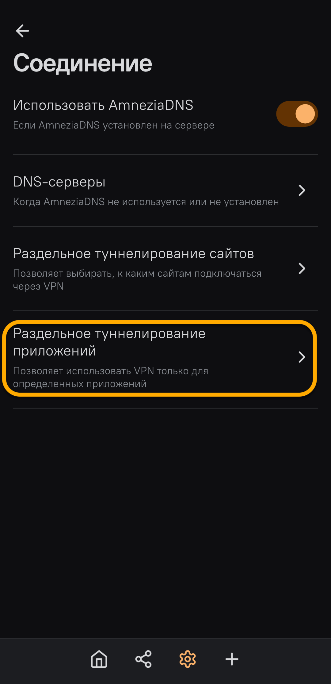 Amnezia Connection Screen
